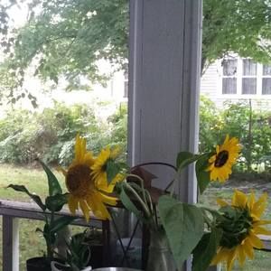 Meet your Posher, Tammy